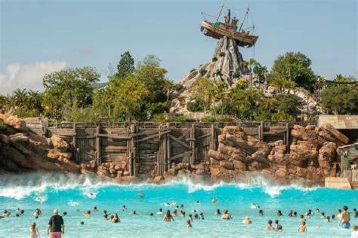 Head Surfaces In Disney World Lake