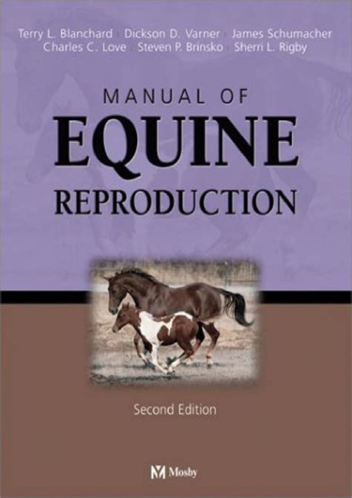 Horse Mating: Unraveling the Fascinating Process of Equine Reproduction