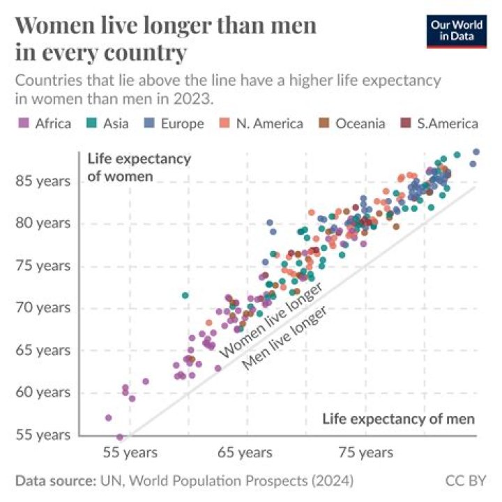 How Old is Vox? Exploring the Longevity of Map Information