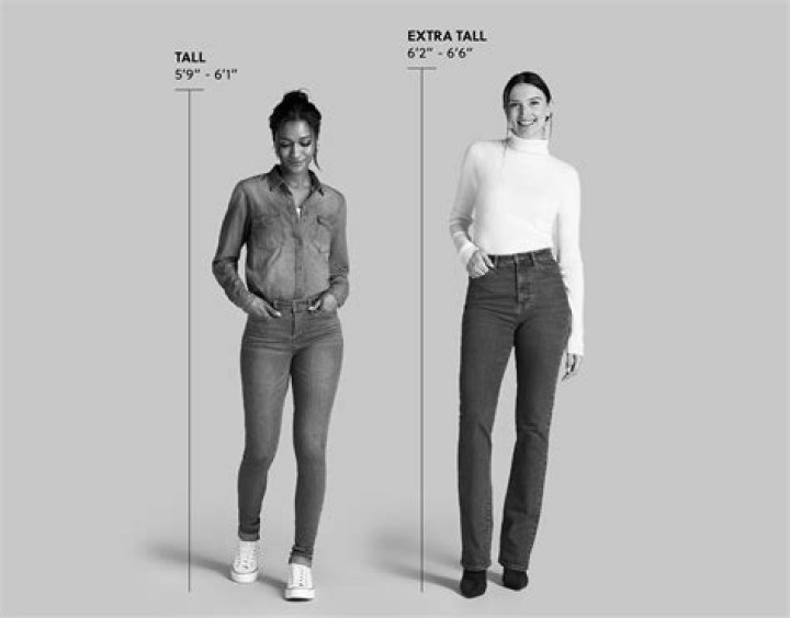 How Tall is Ariel? Unraveling the Heights of a Beloved Character and Beyond