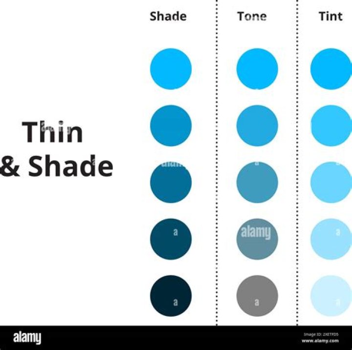 How to choose shade for skin tint? Your Guide to a Perfect Match