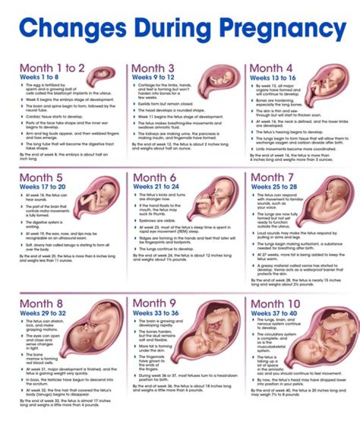 How To Support Jill Martin During Her Pregnancy Journey