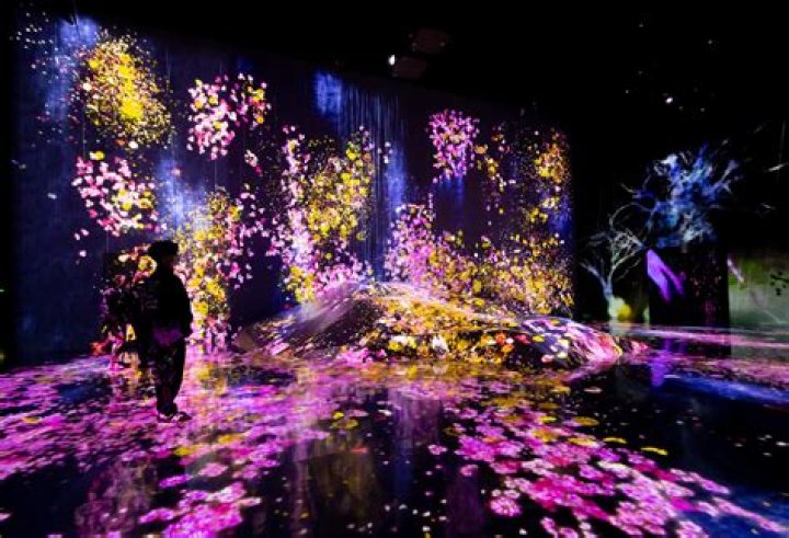 Immersive Art And Thought-Provoking Installations