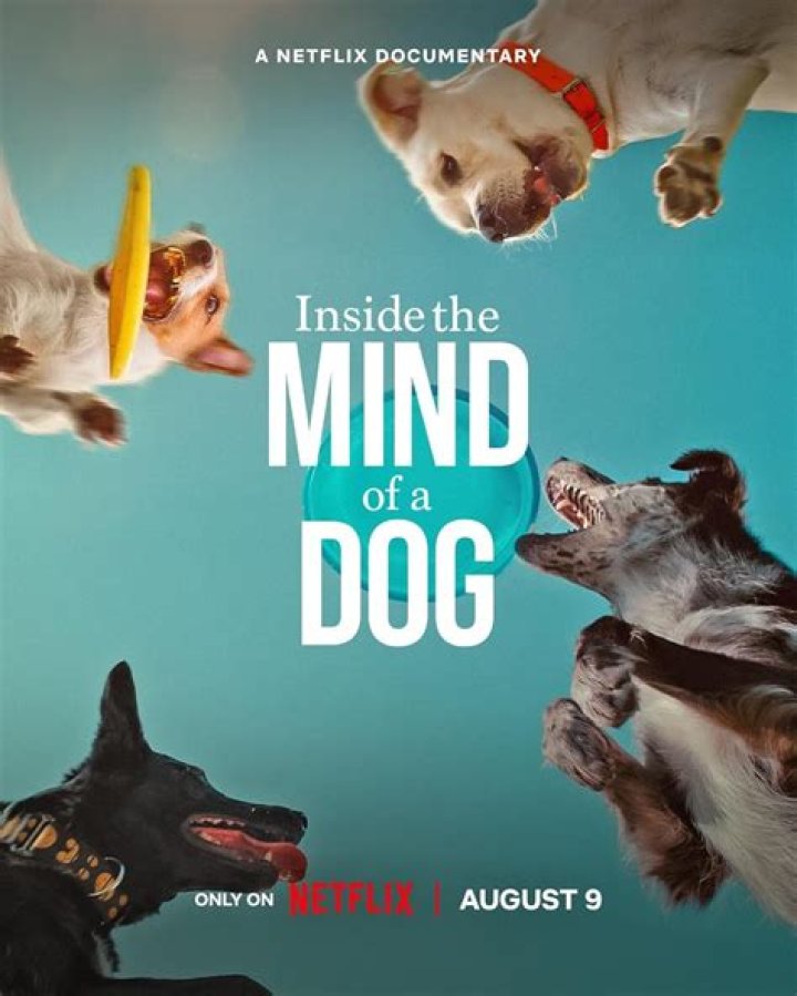 Inside The Mind Of Patricia Ann Vincent