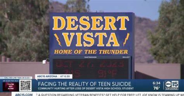 Insights Into Desert Vista High School's Response