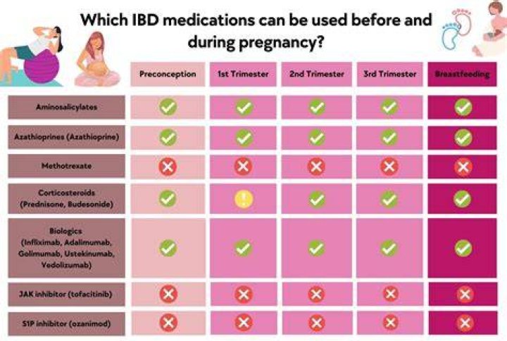 Is Bloom Safe for Pregnancy? Discoveries and Insights