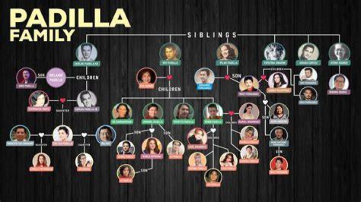 Is Dennis Padilla Related To The Robin Padilla Family?