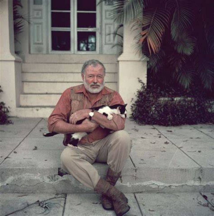 Is Mollie Hemingway Related To Ernest Hemingway? How Is Mollie Hemingway Related To Ernest Hemingway ·