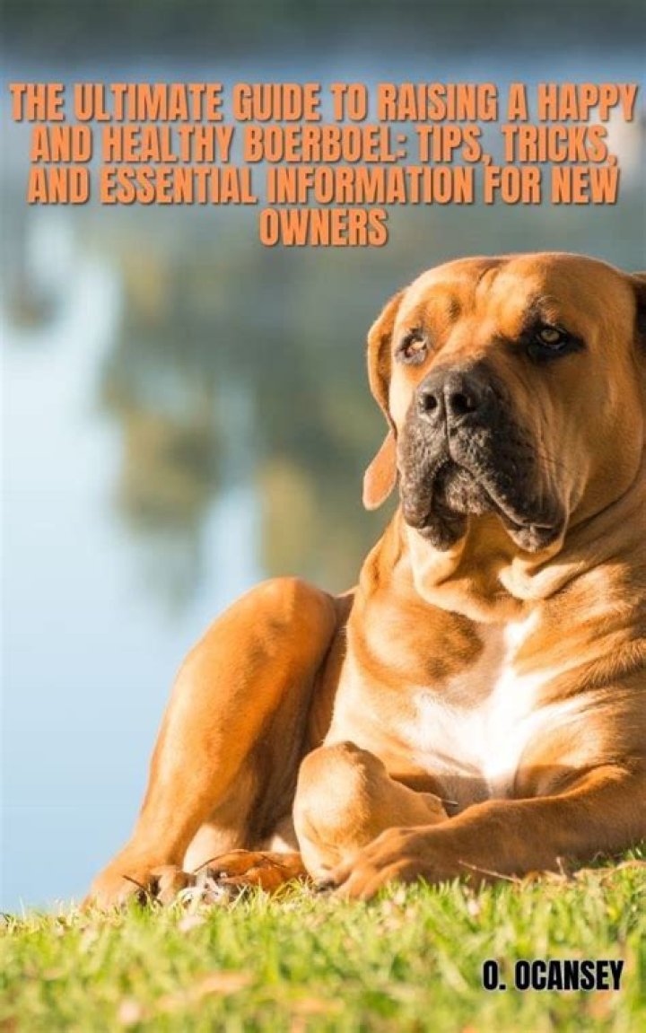 Jenny Curry's Secrets To Raising A Happy And Healthy Family Of Five