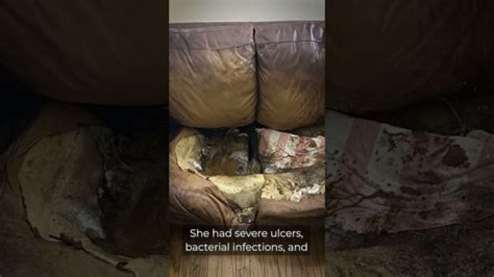 Lacey Fletcher Crime Scene Photos: Unraveling the Disturbing Case