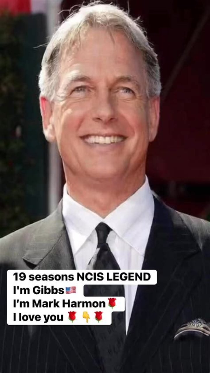 Mark Harmon: Unpacking the Enduring Appeal of a Television Icon