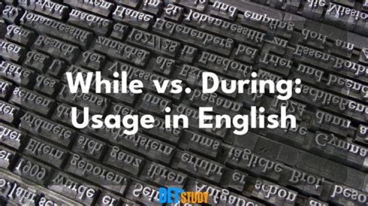 Mastering 'Do,' 'Does,' and 'Did': Your Essential Guide to Correct English Usage