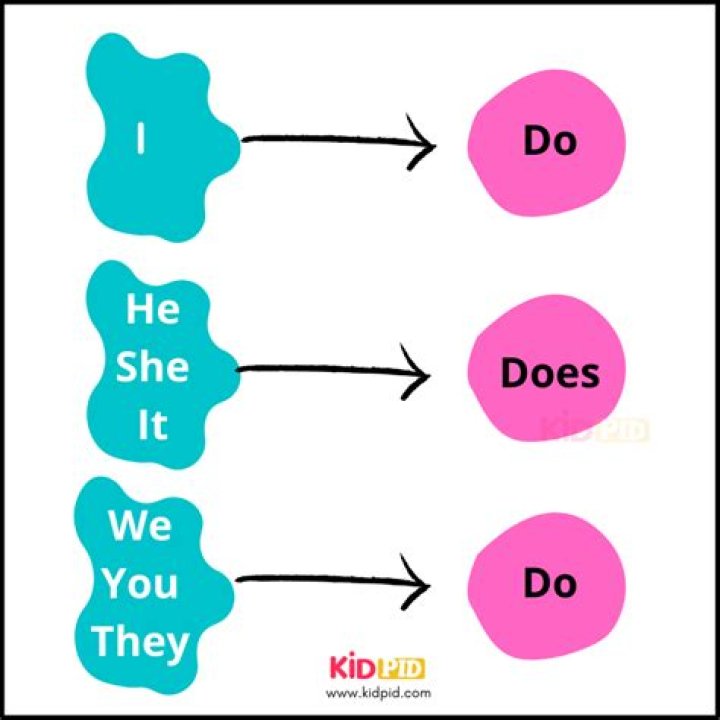 Mastering 'Do,' 'Does,' and 'Did': Your Essential Guide to English Grammar