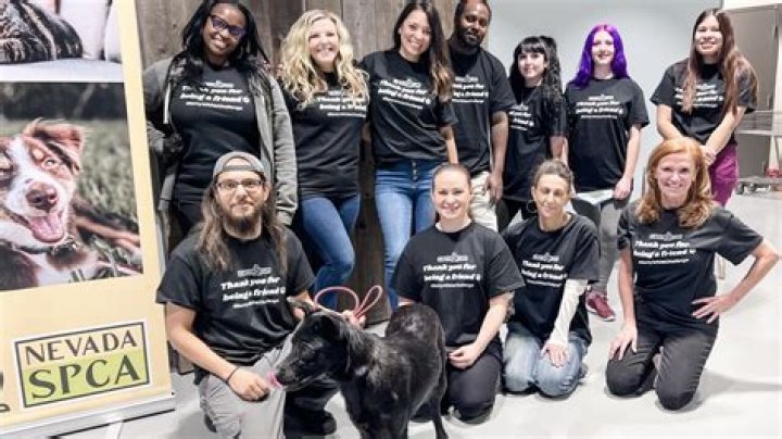 Meet The Man Behind Carolyn Peck's Equestrian Success And Animal Welfare Advocacy