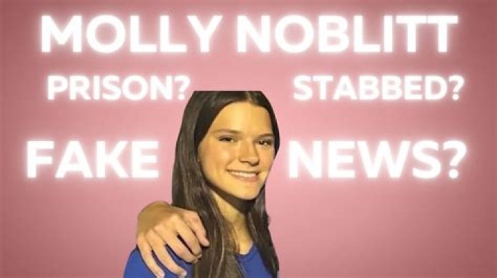 Molly Noblitt Jail Sentence: A Detailed Insight into the Case and Its Implications