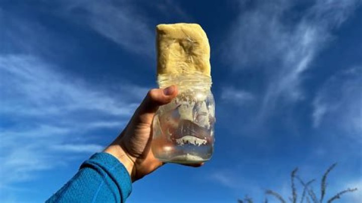 One Man, One Jar: Simplifying Life in a Busy World