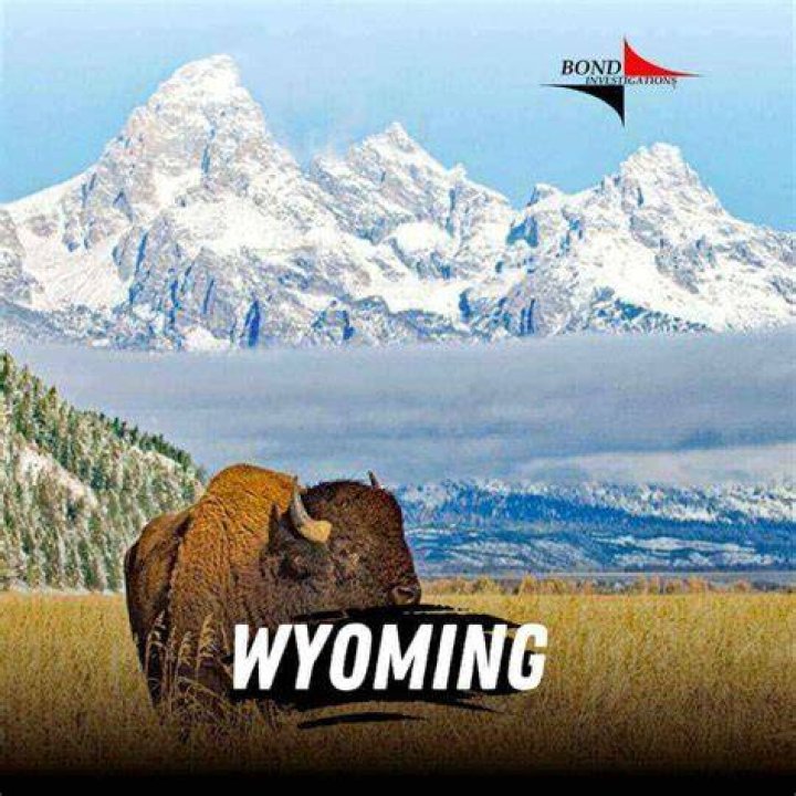 Private investigator Wyoming