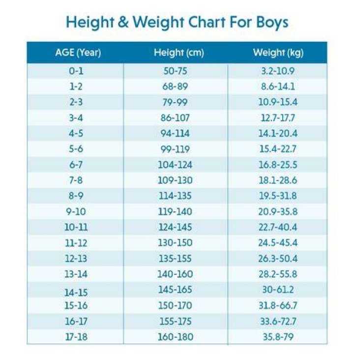 Rachel Bilson's Weight And Height Explored