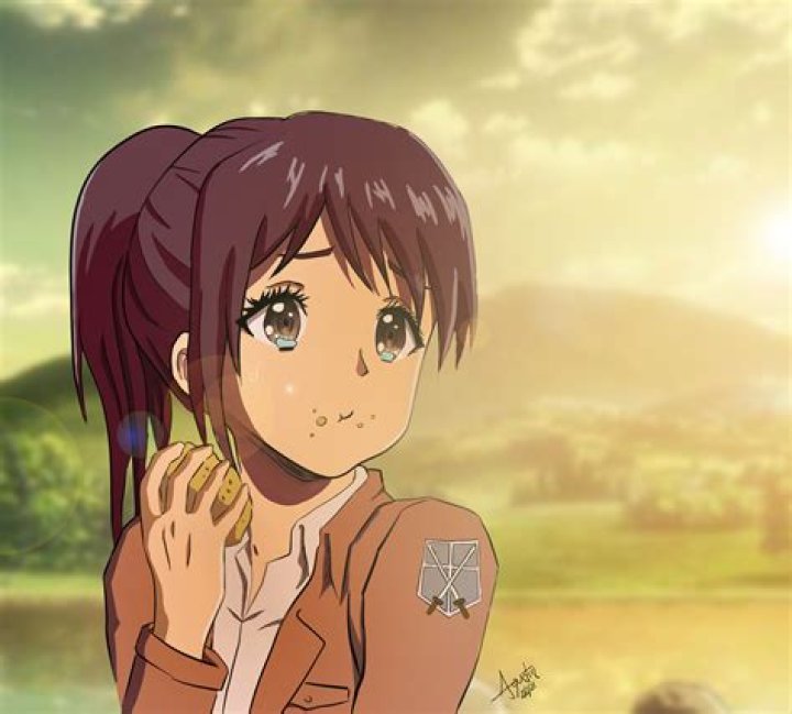 Sasha Braus: The Enduring Legacy of Attack on Titan's Beloved 'Potato Girl'
