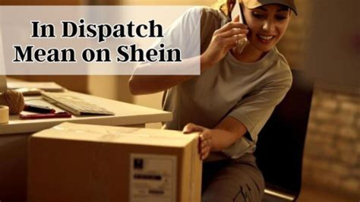 "Shein In Dispatch" Meaning Demystified