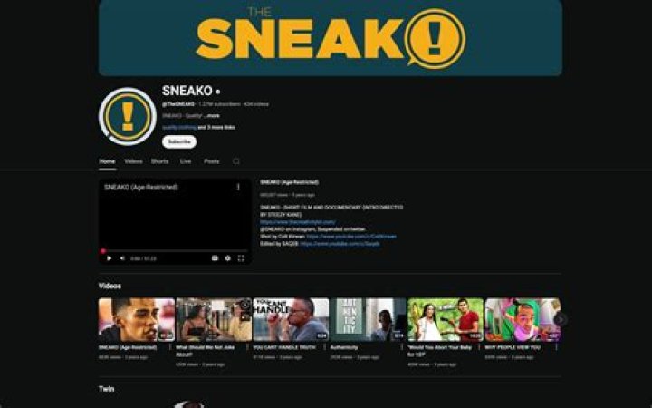 Sneako's Journey, Controversies, And Wealth