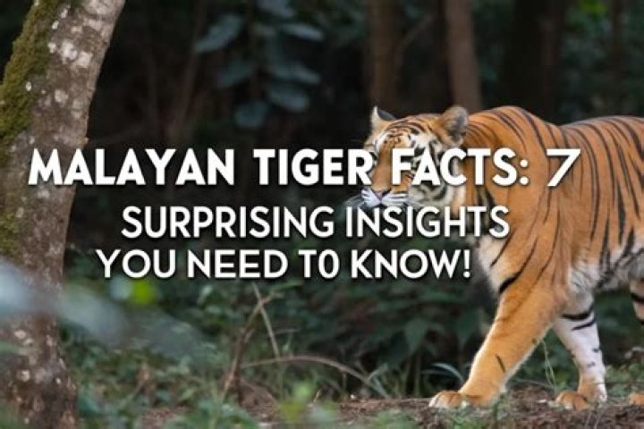 Surprising Insights And Facts Revealed
