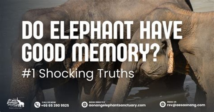 Surprising Truths And Fascinating Insights