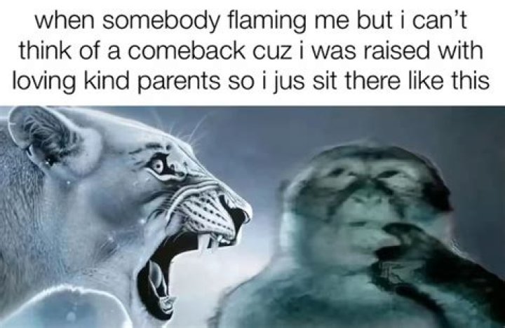 The Hilarious Showdown: Why Everyone's Talking About Lion Yelling at Monkey