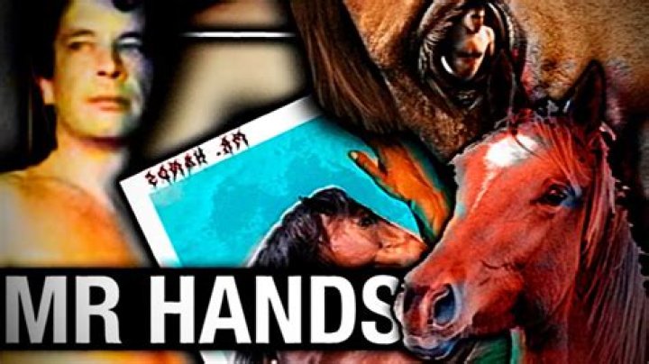 The "michael Hanley Horse Video Mr Hands Original"