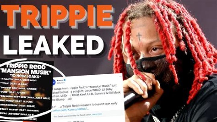The Trippie Bri OnlyFans Leak Exposed