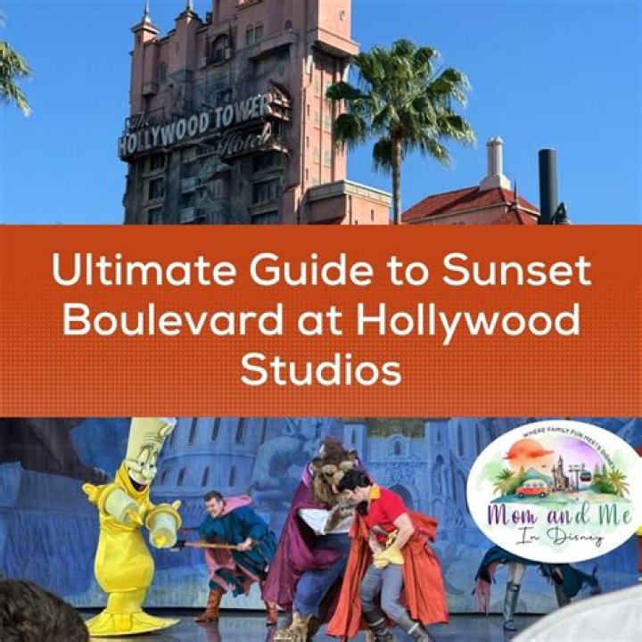 The Ultimate Guide To The Hollywood Icon