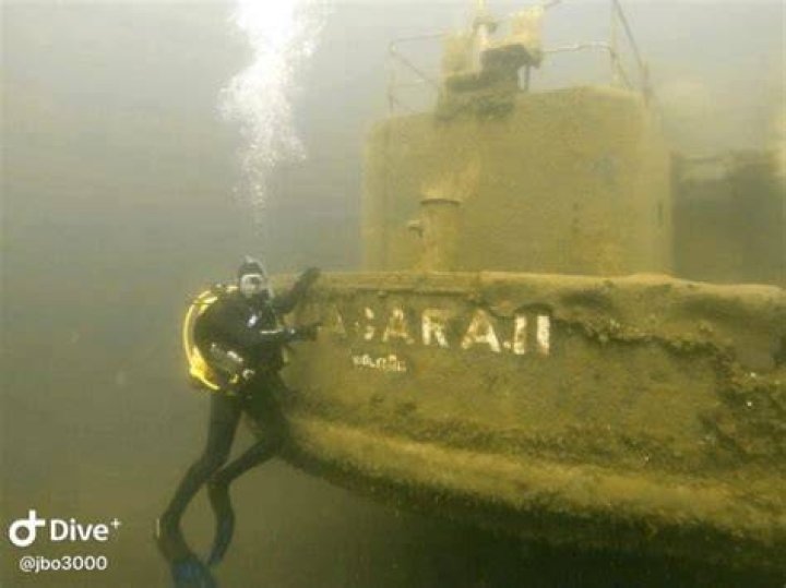 Tobermory's Scuba Diving Adventures: Underwater Thrills