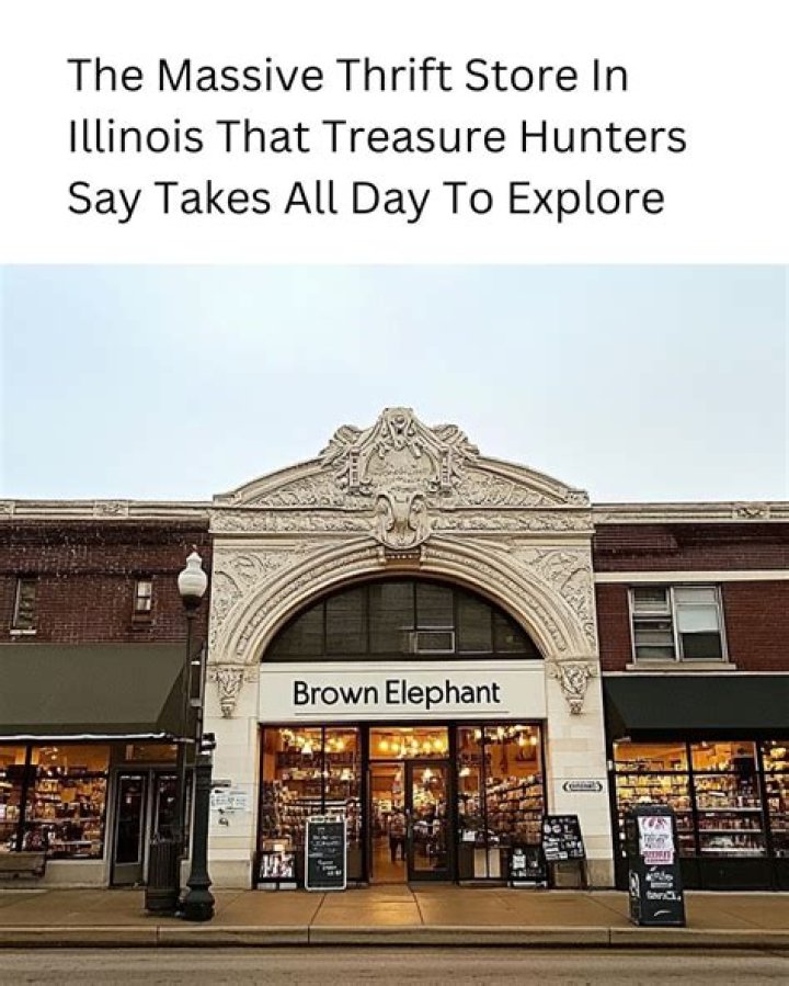Uncover Hidden Treasures At Brown Elephant Thrift Store Chicago: A Shopper's Paradise