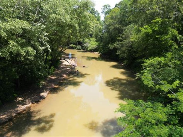 Uncover Huntsville's Hidden Gems With Skip The Games!
