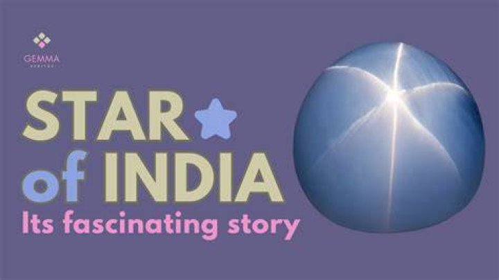 Uncover The Fascinating Story Of A Rising Star