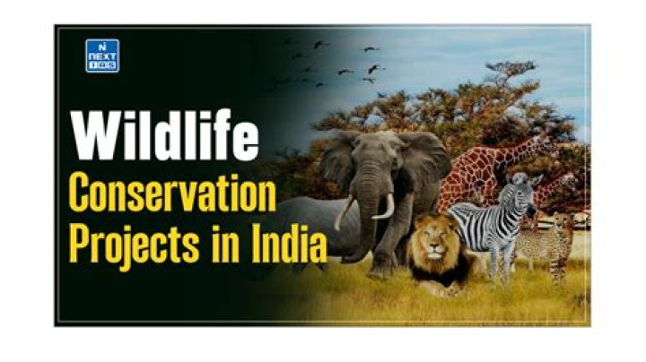 Uncover The Fascinating World Of Wildlife Conservation With Bear Chance Cyrus