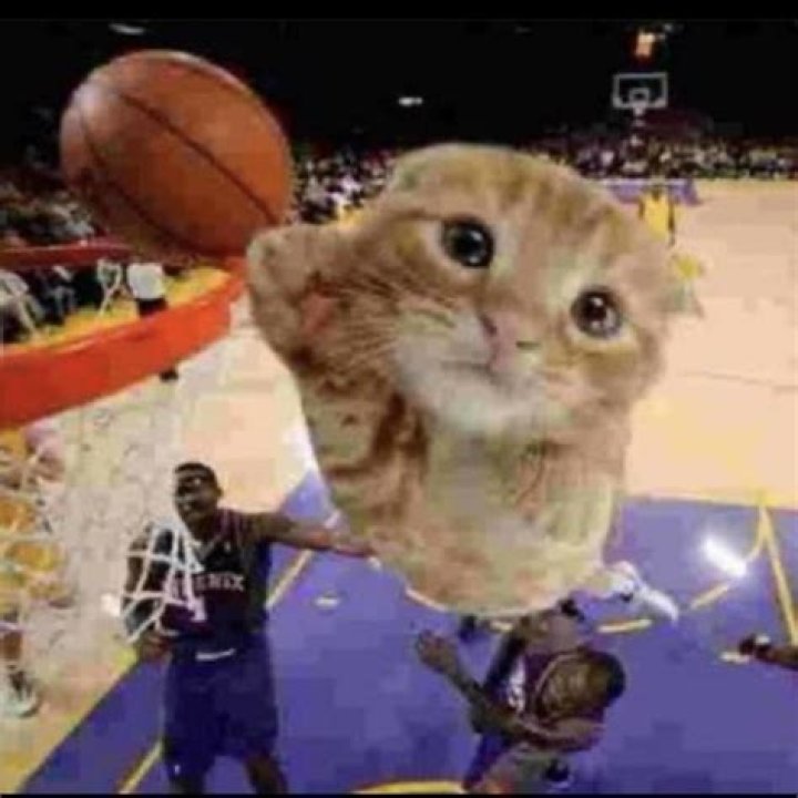 Uncover The Secrets Of The "Ballin Meme": Discoveries And Insights