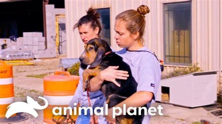 Uncover The Secrets Of Tia Torres' Animal Welfare Empire And Net Worth