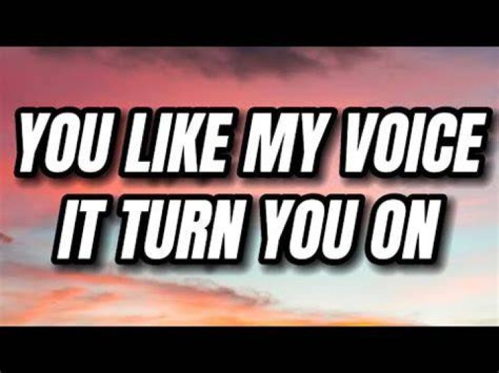 Uncover the Secrets of "You Like My Voice (It Turn You On)" Lyrics