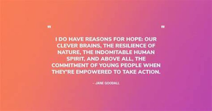 Uncovering Resilience And Hope In 2024