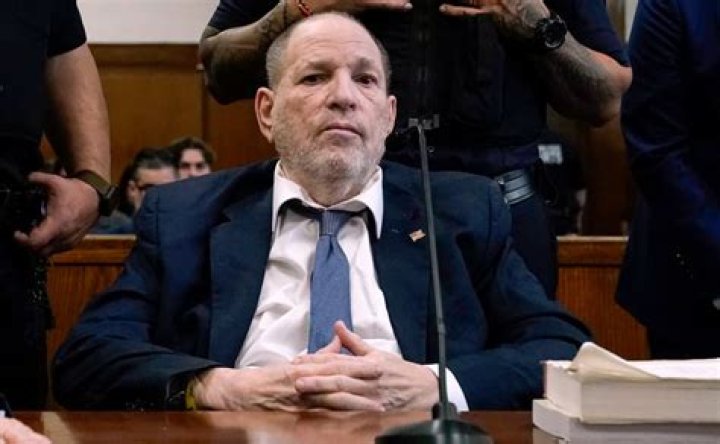 Uncovering The Lives Of Harvey Weinstein's Children: A Comprehensive Guide