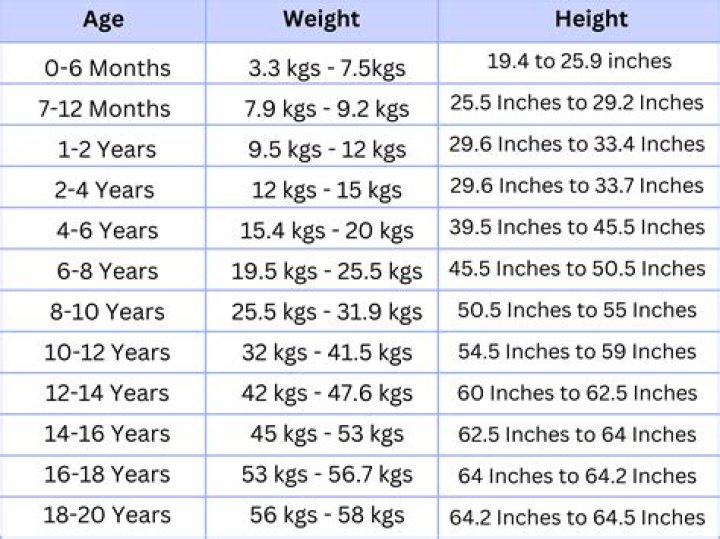 Uncovering The Man Behind The Height, Weight, Age, And Family