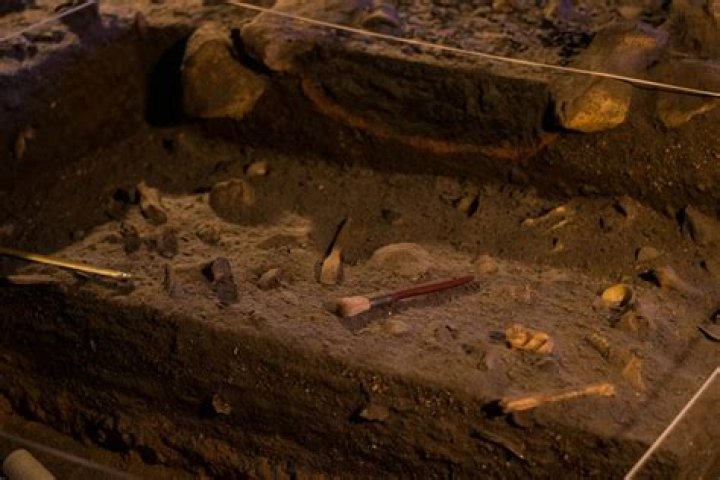 Unearthing the Past: Who Truly "Lived" in Somalia First?