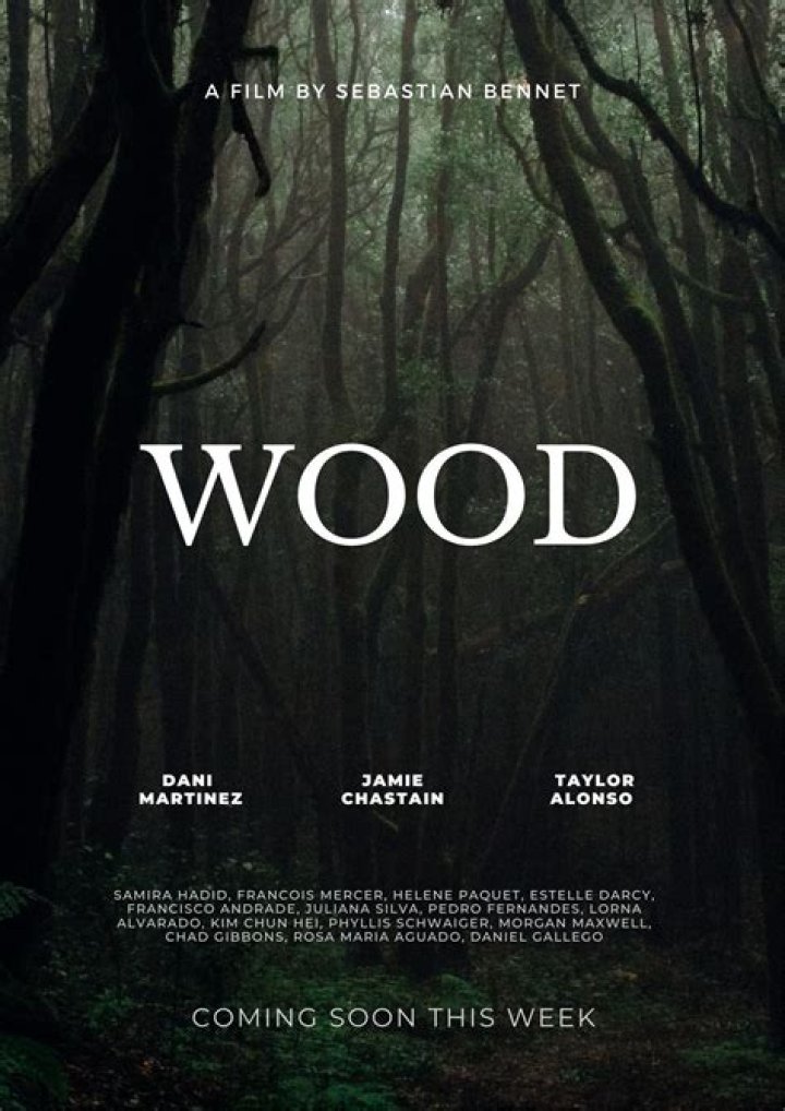 Unpacking "The Best Definition of a Movie": A Journey Through Context and Purpose