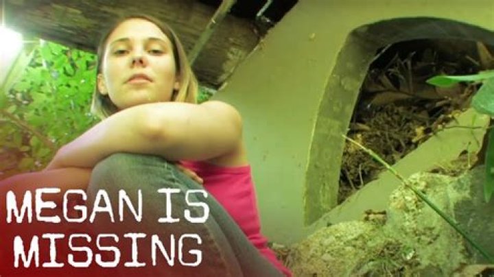 Unpacking the Buzz Around Megan is Missing Videos