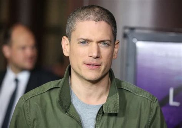 Unpacking the Enduring Wentworth Miller Crush: Why Fans Still Adore Him