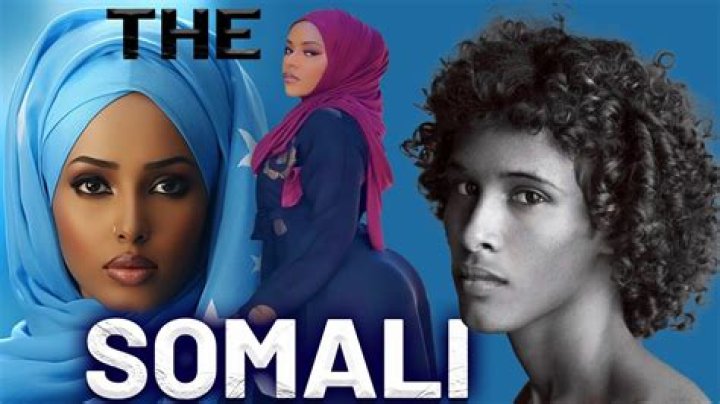 Unpacking the Linguistic Ties: Are Somali and Arabic Related?