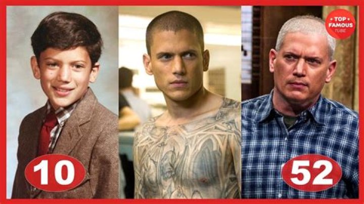 Unpacking Wentworth Miller Dated: A Look at the Actor's Personal Life