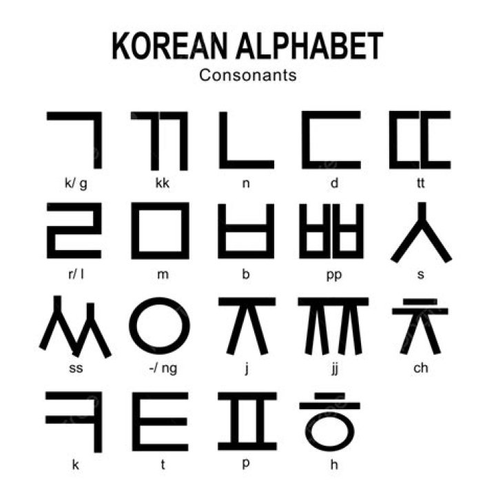 Unraveling "Does": How English Grammar Helps Ask About Names Like M.I.A. in Korean