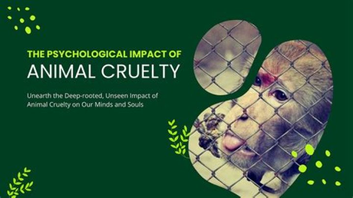 Unraveling Animal Cruelty And Mental Health